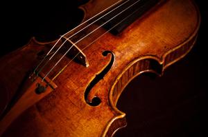 Violin Close up